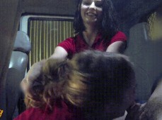 van gif