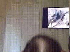 lo spompina mentre guarda un porno