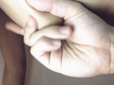tity jap gif