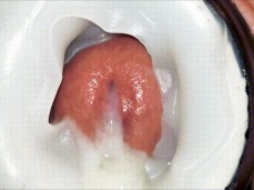 Man fucking fleshlight ejaculating gif