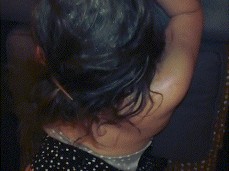 sertty gif
