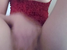 Wilder Fauna gif