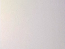 Splat!! hot guy splurges his load everywhere (@thetotalpkg) gif