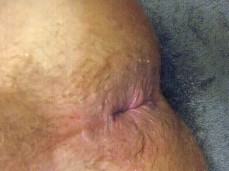Dildo Fuck gif